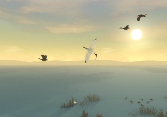 Storm Boy EN/DE/FR/RU/ES Argentina Xbox One/Series Digital Key