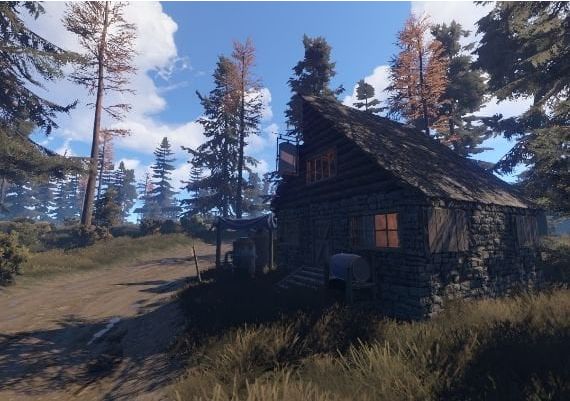 Rust EN Global Steam Digital Key