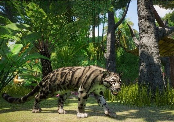 Planet Zoo - Southeast Asia Animal Pack DLC EU Steam Digital Key