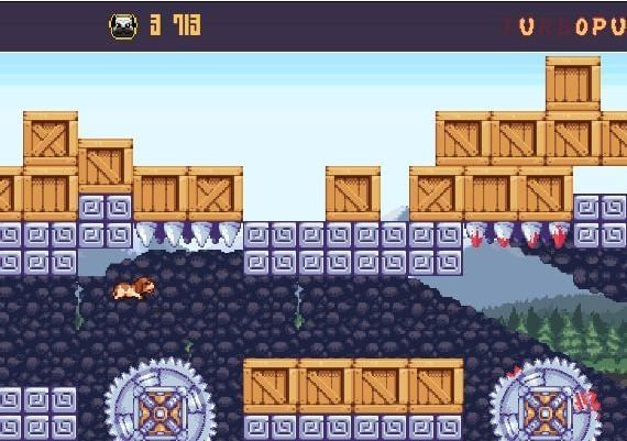 Turbo Pug DX EN Global Steam Digital Key