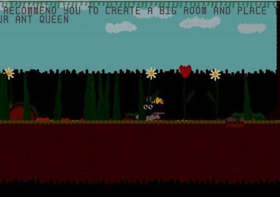 Proviant EN Global Steam Digital Key