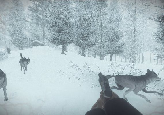 Kona EN/DE/FR/IT/ZH/ES EU Steam Digital Key