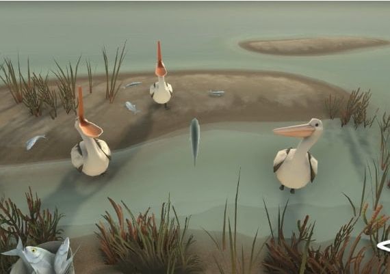 Storm Boy EN/DE/FR/RU/ES Argentina Xbox One/Series Digital Key