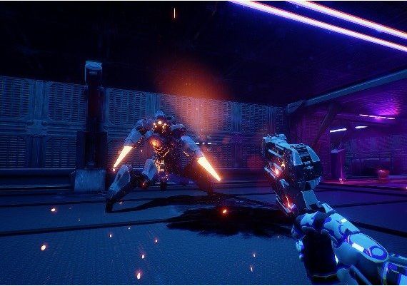 PositronX EN Global Steam Digital Key