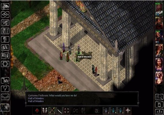 Baldur's Gate: Faces of Good and Evil DLC Global Steam Digital Key
