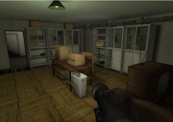 Noise EN/RU Global Steam Digital Key