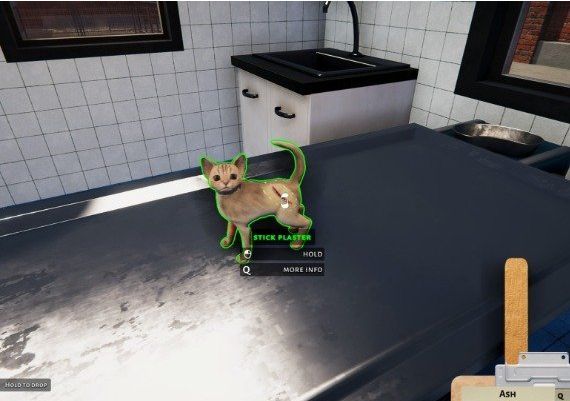 Animal Shelter: Puppies and Kittens DLC Global Steam Digital Key