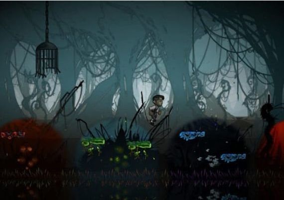 Schein EN/DE/FR/ES Global Steam Digital Key