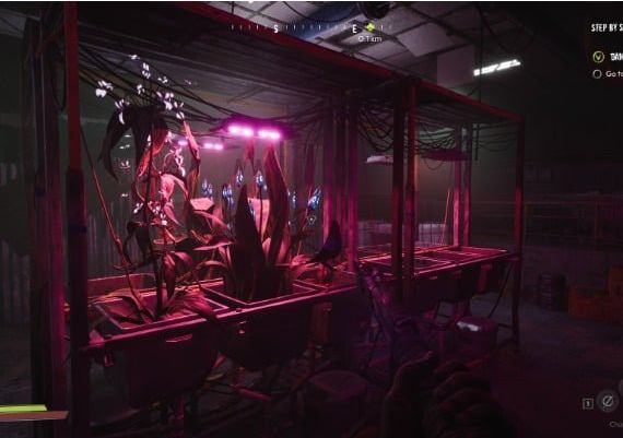 SERUM Supporter Edition Global Steam Digital Key