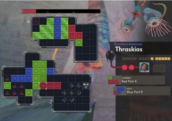 Sephonie EN United States Xbox One/Series Digital Key