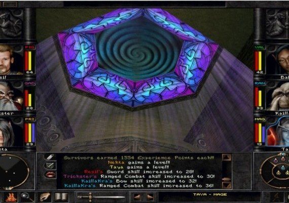 Wizardry 8 EN Global Steam Digital Key