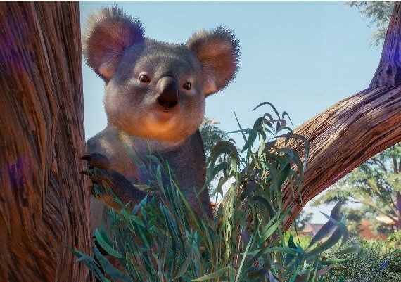 Planet Zoo - Australia Pack EU Steam Digital Key