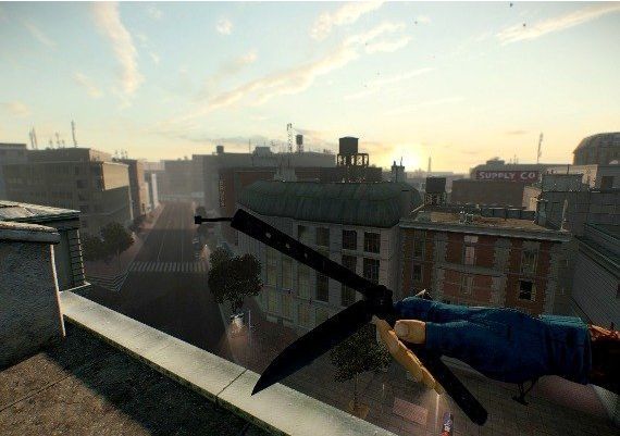 PAYDAY 2 - Sydney Mega Mask Pack DLC EN/DE/FR/IT/NL/RU/ES Global Steam Digital Key