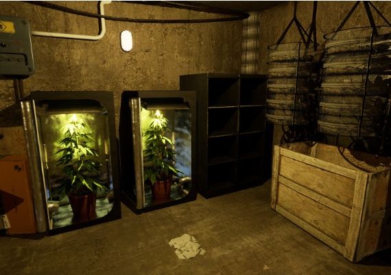 Drug Dealer Simulator 2 Global Steam Digital Key