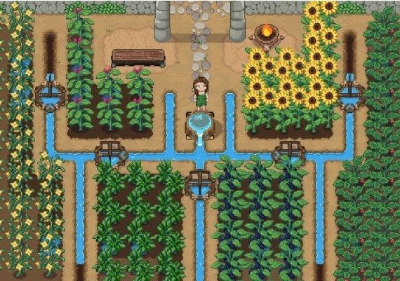 Roots of Pacha EN Australia Xbox One/Series Digital Key