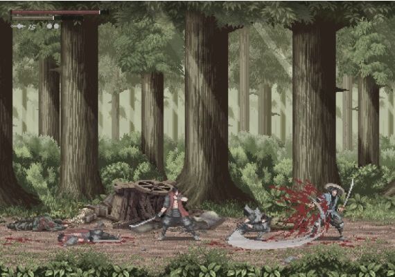 Meifumado Global Steam Digital Key