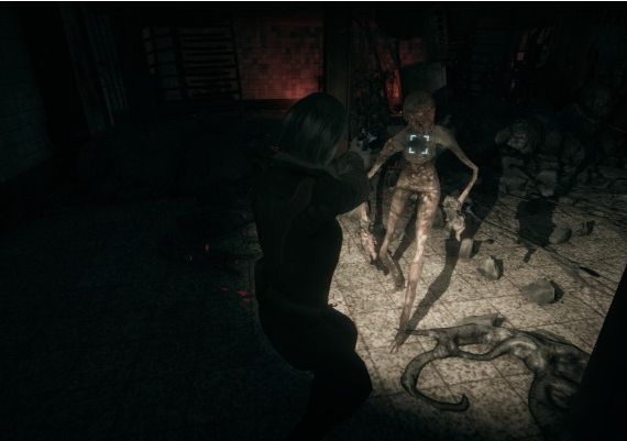 Hollowbody EN Global Steam Digital Key