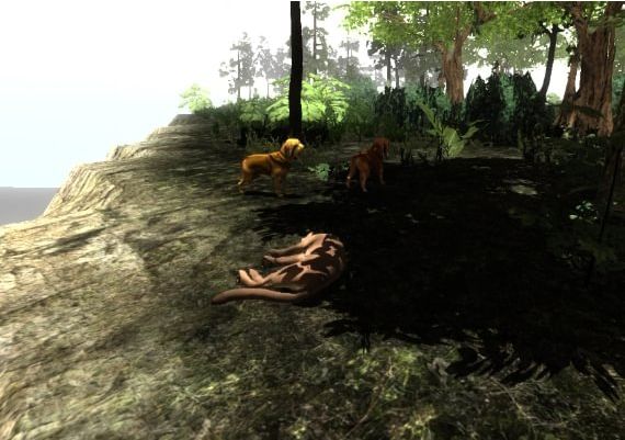 Untamed: Life Of A Cougar EN/FR/PT Global Steam Digital Key