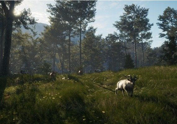 theHunter: Call of the Wild - Te Awaroa National Park DLC EN EU Xbox One/Series Digital Key