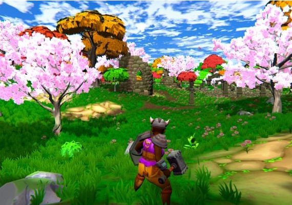 HammerHelm Global Steam Digital Key