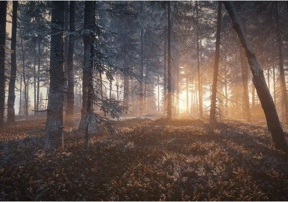 theHunter: Call of the Wild - Medved-Taiga DLC Global Steam Digital Key