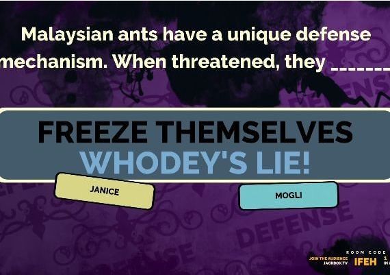 The Jackbox Party Pack 2 EN Global Steam Digital Key