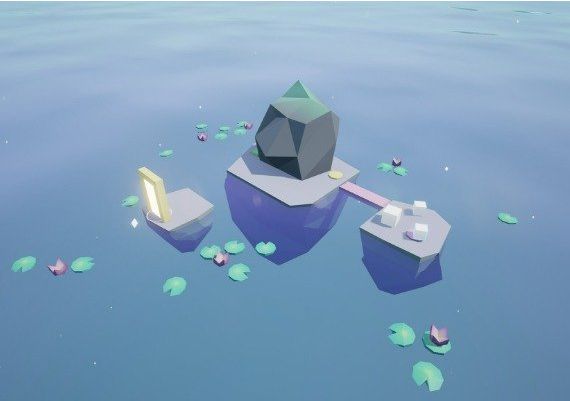 Split EN/FR Global Steam Digital Key