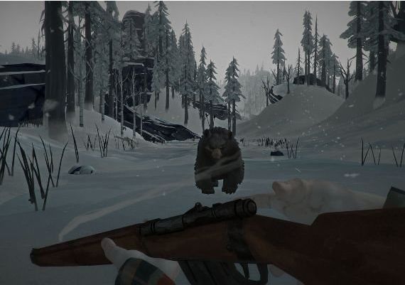 The Long Dark EU Steam Digital Key