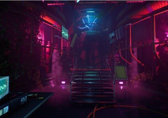 Transient Global Steam Digital Key