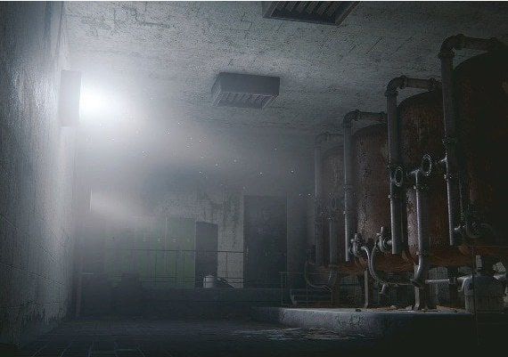 In Rays of the Light EN Argentina Xbox Series Digital Key