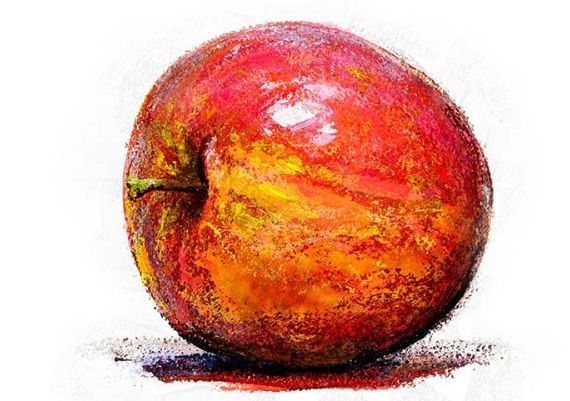 Corel Painter 2019 Lifetime EN Global Software License Digital Key