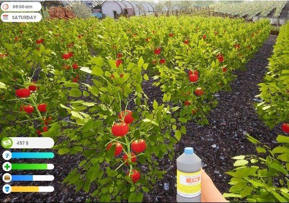 Farmer Life Simulator EN/DE/FR/IT/PL/PT/ES/TR Global Steam Digital Key