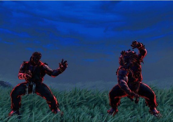 Street Fighter V - Special Color DLC Champion Edition EU PS4/5 Digital Key