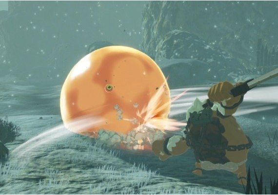 Hyrule Warriors: Age of Calamity + Hyrule Warriors: Age of Calamity Expansion Pass - Bundle EN United States Nintendo Switch Digital Key