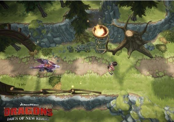 DreamWorks Dragons Dawn of New Riders EN/DE/FR/IT/ES Global Steam Digital Key