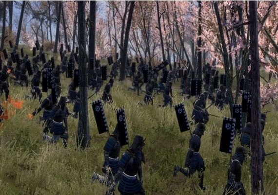 Total War: Shogun 2 DLC EN/DE/FR/IT/PL/CS/RU/ES RU/CIS Steam Digital Key