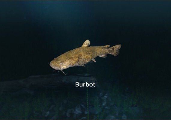 Ultimate Fishing Simulator - New Fish Species DLC Global Steam Digital Key