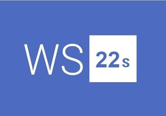 Windows Server 2022 Standard EN Global MS Products Digital Key