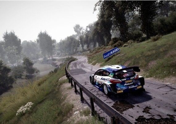 WRC 10: FIA World Rally Championship Global Steam Digital Key