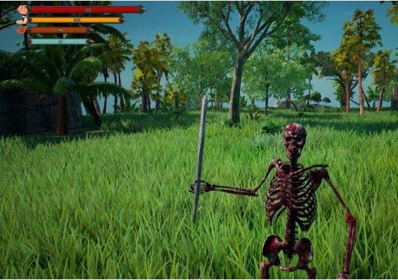 Boulder Island EN Global Steam Digital Key