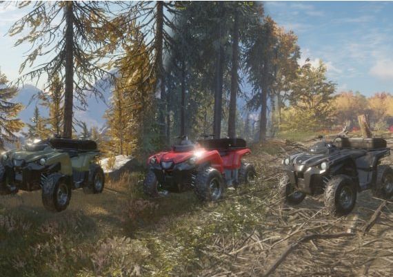 theHunter: Call of the Wild: ATV SABER 4X4 DLC Global Steam Digital Key