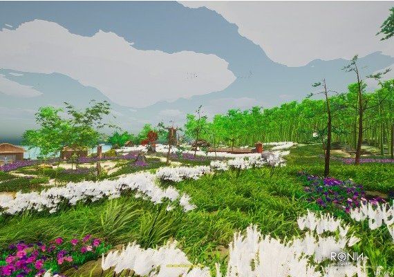 Ronin: Two Souls One Body EN/TR Global Steam Digital Key