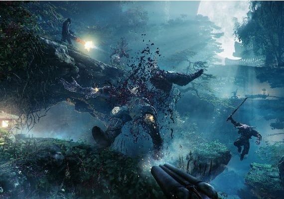 Shadow Warrior 2 - Alienware Co-Op Ninja Skin DLC EN Global Steam Digital Key