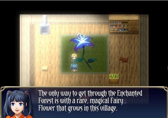 Paladin Dream EN Global Steam Digital Key