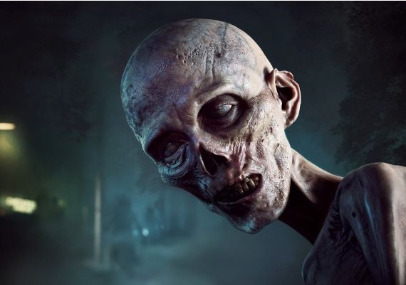 No More Room in Hell 2 EN/DE/FR/IT/PT/RU/ZH/ES Global Steam Digital Key