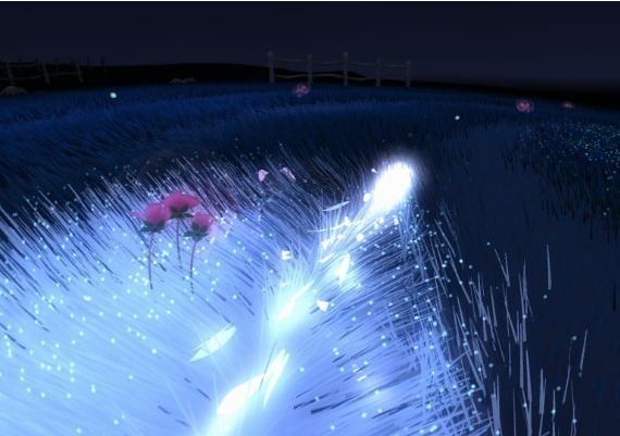 Flower Global Steam Digital Key