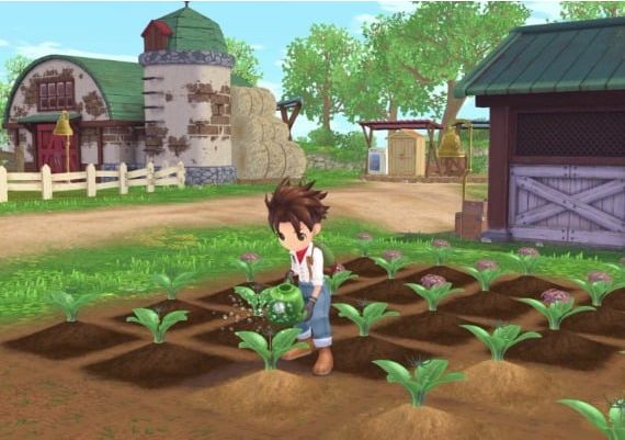 Story of Seasons: A Wonderful Life EN/DE/FR/JA/KO/ZH/ES/ZH ROW Steam Digital Key