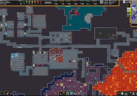 Dwarf Fortress EN Global Steam Digital Key