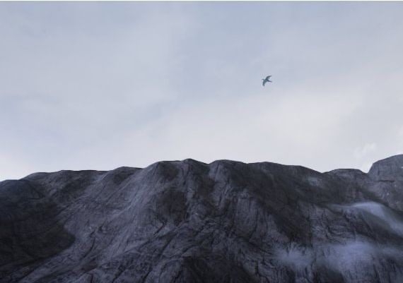 Conclusion EN/RU Global Steam Digital Key