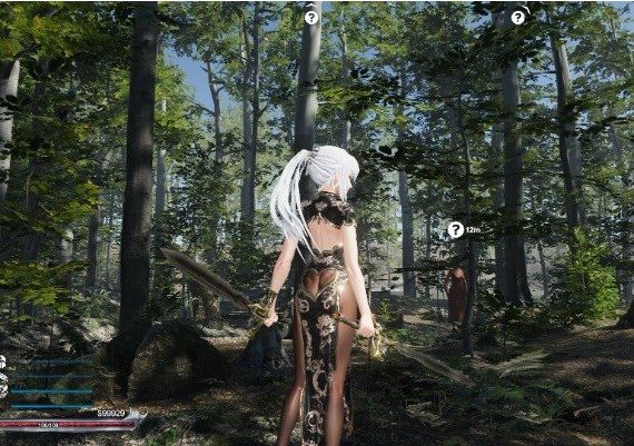 Sword x Hime EN/JA/ZH Global Steam Digital Key